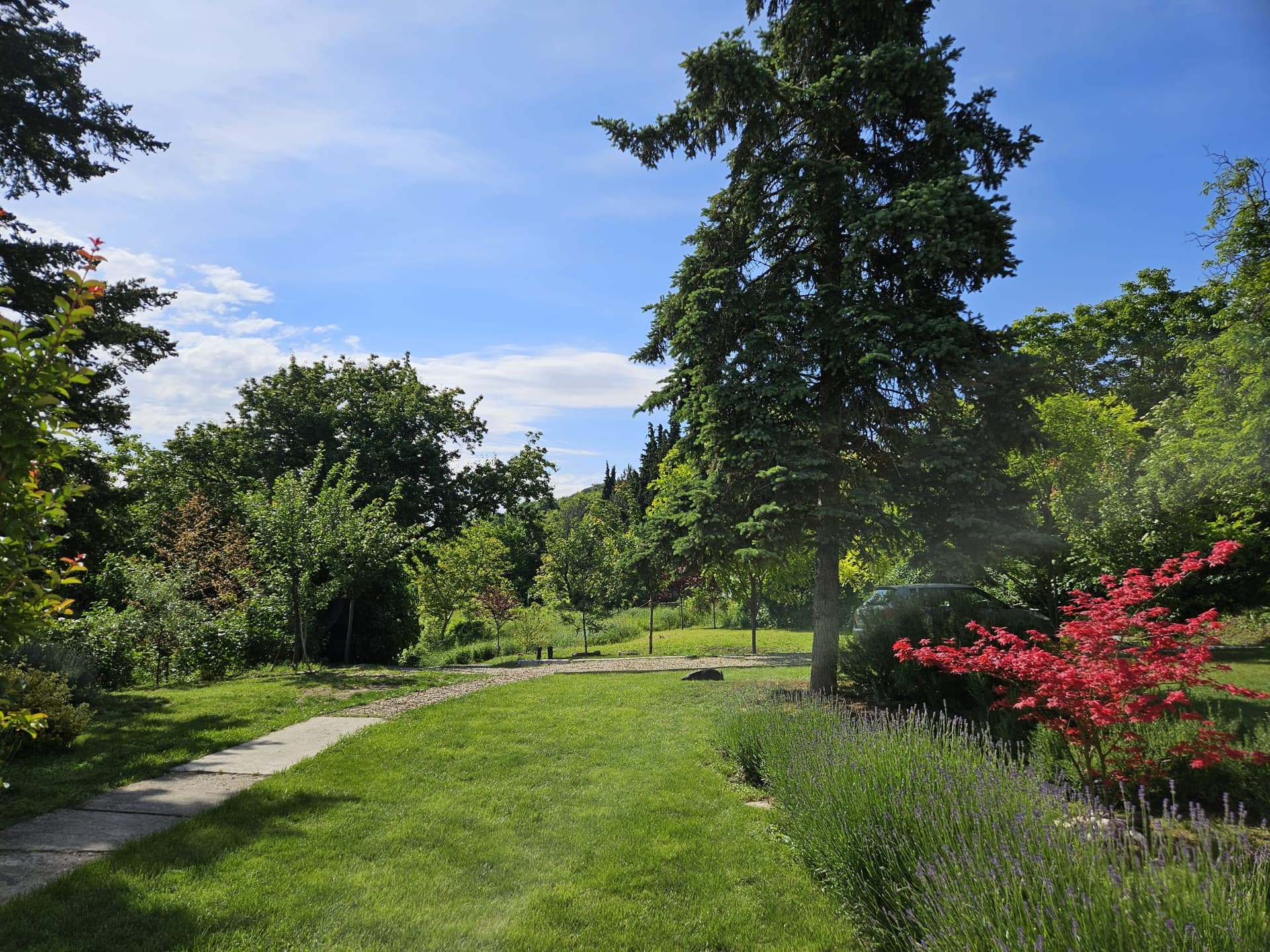 Prostrano dvorište Honey Spa House u prirodnom ambijentu